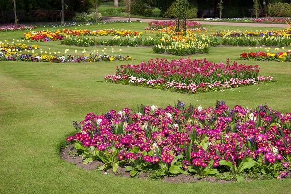 Květiny v zahradách v blízkosti Bury St Edmunds katedrála — Stock fotografie