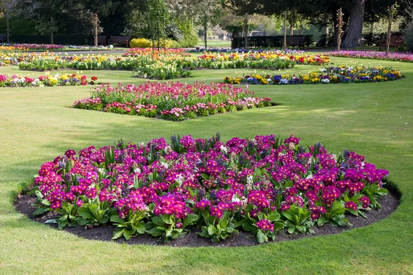 Flores en los jardines cerca de Bury St Edmunds Cathedral — Foto de Stock