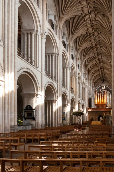 Interieur van de kathedraal van norwich — Stockfoto