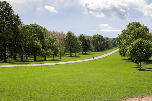 A hosszú séta, a windsor nagy park — Stock Fotó