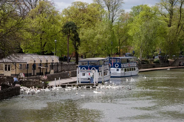 Bateaux touristiques amarrés sur la Tamise près du pont Eton à Windsor — Photo