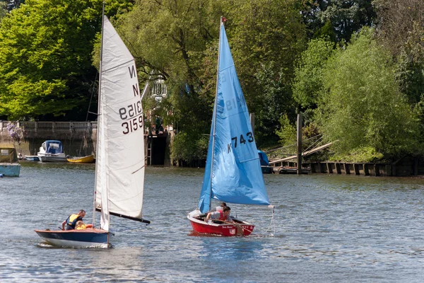 Navegar en el río Támesis cerca de Richmond Surrey —  Fotos de Stock