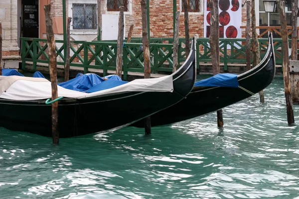 Gondoler fortøjet i Venedig - Stock-foto