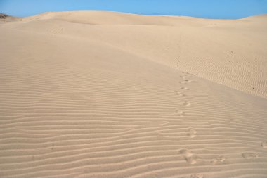 maspalomas gran canaria yakınındaki kum tepeleri görünümü