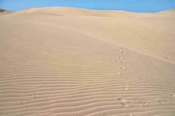 Вид на песчаные дюны возле Маспаломас Гран-Канария — стоковое фото