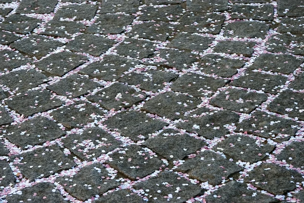 Confetti left on the cobblestones in Boulogne France after the wedding — Stock Photo, Image