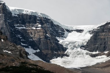 Athabasca buzul jasper Kanada Milli Parkı