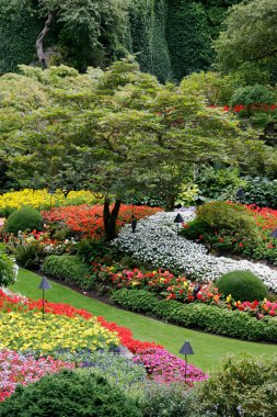 butchart Gardens çarpıcı çiçek göstermek