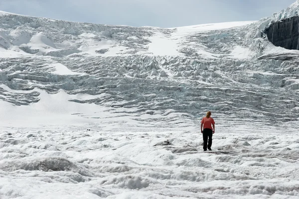 Promenade sur le glacier Athabasca Alberta Canada — Photo