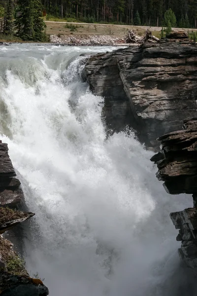 Waterval op de Athabasca in het nationaal park jasper — Stockfoto