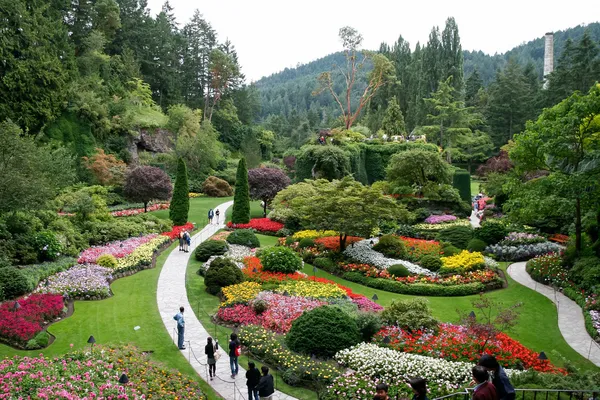 butchart Gardens çarpıcı çiçek göstermek