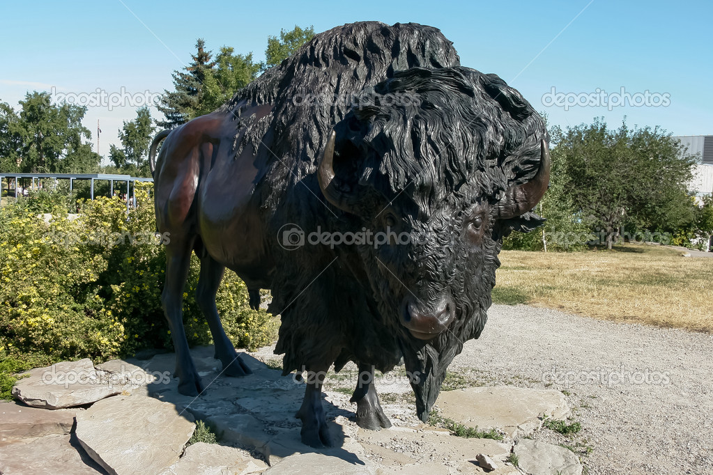 Statue of a Canadian bison outside Fort Calgary — Stock Photo © phil_bird 40118869