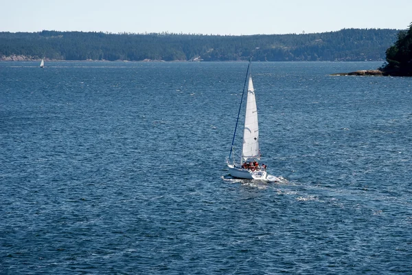 Segling strait of georgia — Stockfoto