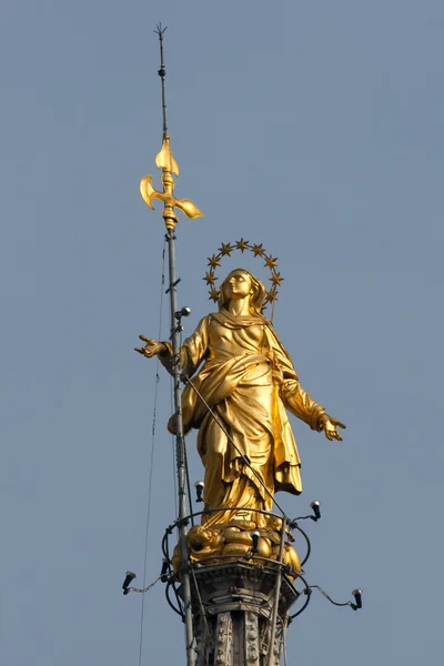 Estatua de Madunina en la parte superior del Duomo Milán Italia —  Fotos de Stock