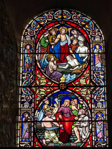 Katedra Chichester — Zdjęcie stockowe