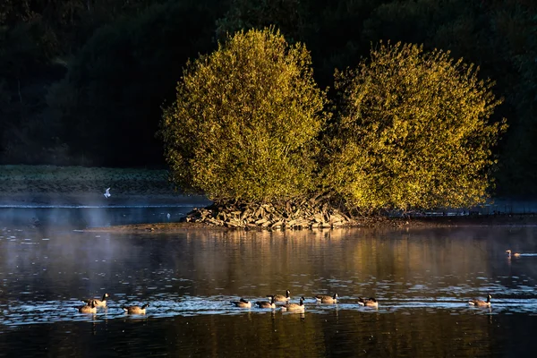 Frühmorgens am Stausee Wehr — Stockfoto