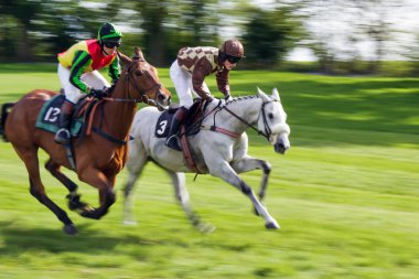 Point to point racing at Godstone Surrey horse clipart