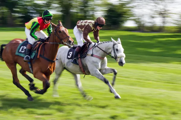 Ponto a ponto de corrida em Godstone Surrey cavalo — Fotografia de Stock