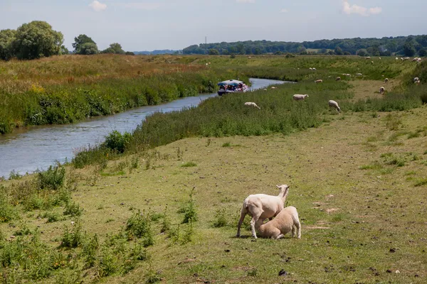 Vista pacífica sobre el campo de Sussex — Foto de Stock