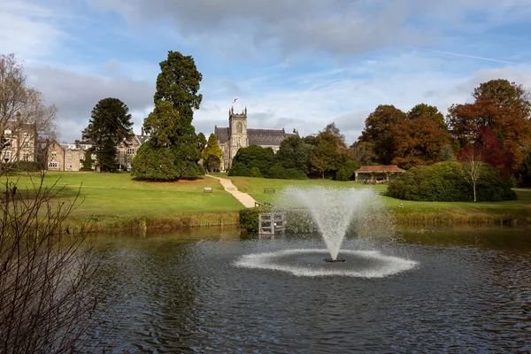 ağaçlar ve Gölü arazisinde ashdown park Hotel