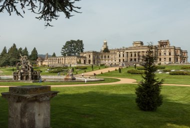 Witley mahkeme