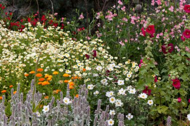 İngilizce ülke Bahçe