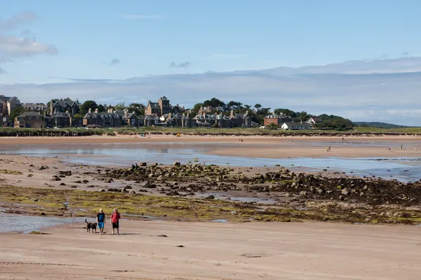 Les gens promenant le chien — Photo