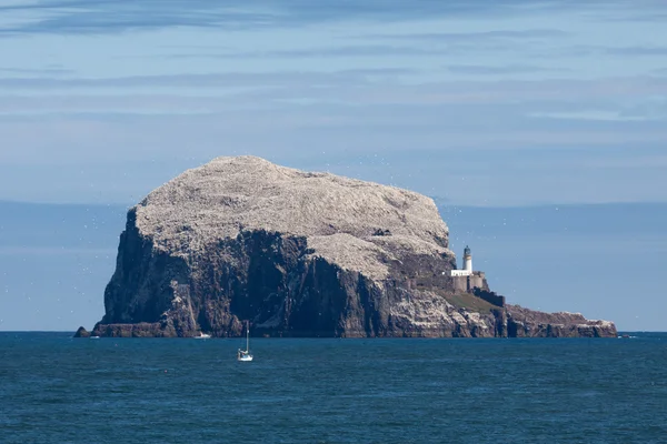 Vista de Bass Rock — Fotografia de Stock