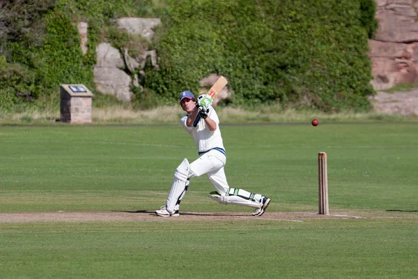 Spela cricket på gräsplanen vid bamburgh — Stockfoto