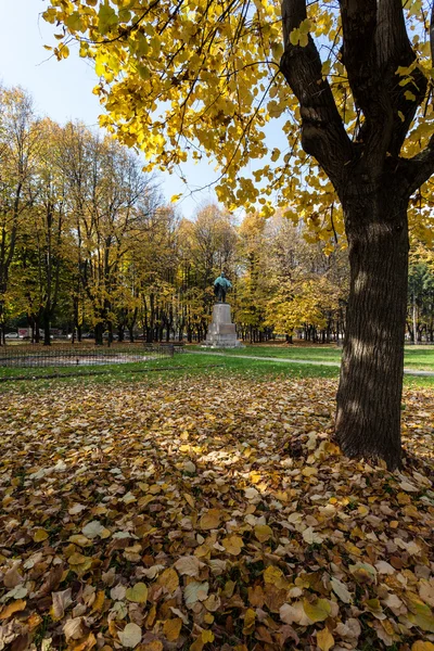 Garibaldin patsas — kuvapankkivalokuva