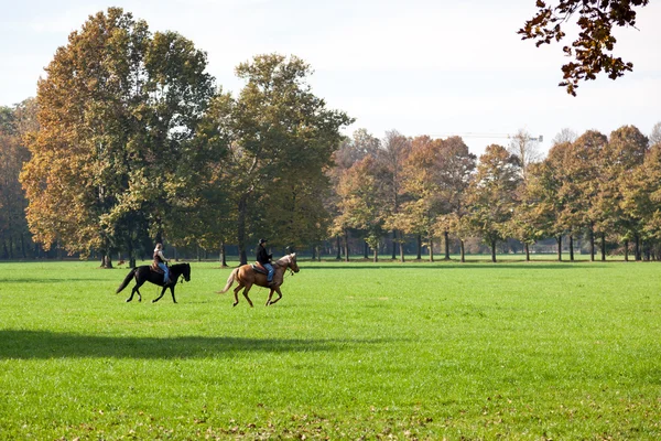 Reiten im parco di monza italien — Stockfoto