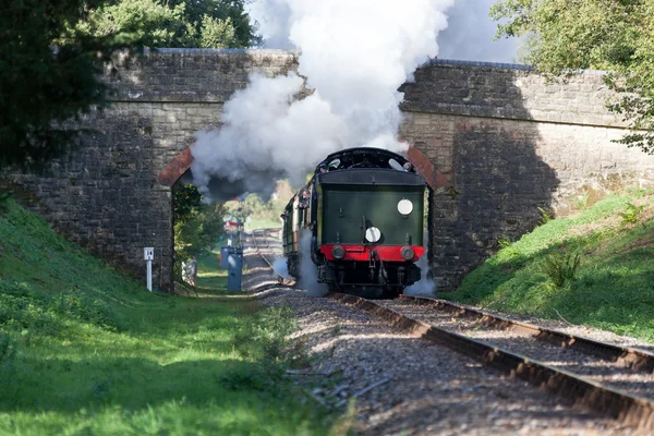 Festival för Steam på Bluebell Railway 2010 — Stockfoto