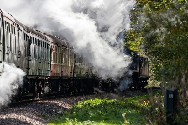 Dampffestival auf der Bluebell-Bahn 2010 — Stockfoto