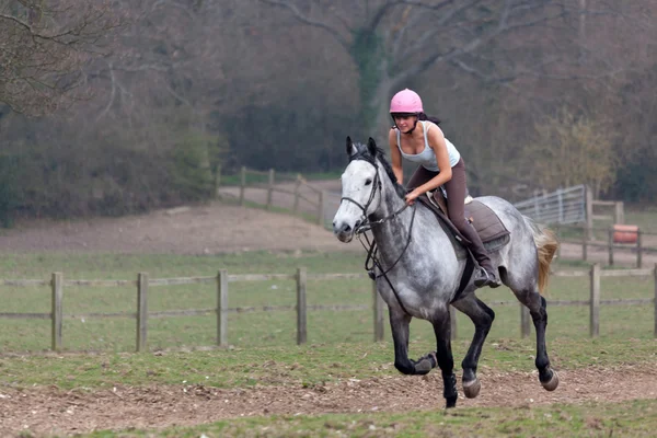 Passeios a cavalo — Fotografia de Stock