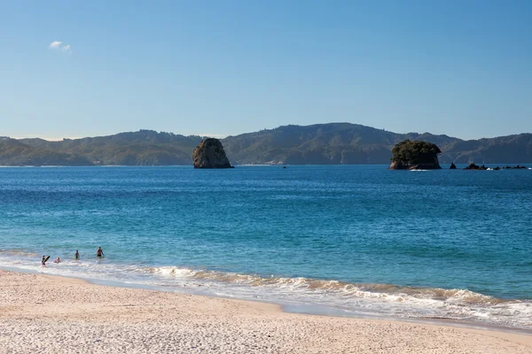 A summer evening at Hahei beach — Stock Photo, Image