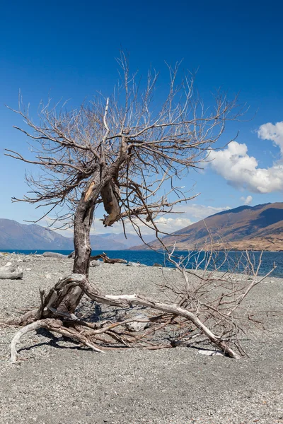 Lago Wanaka —  Fotos de Stock