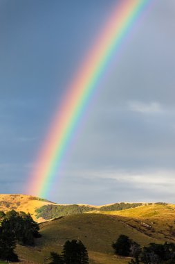 Rainbow over the Otago peninsular clipart