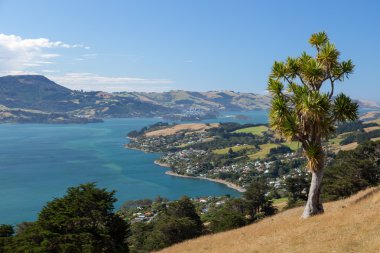 Otago Peninsula clipart