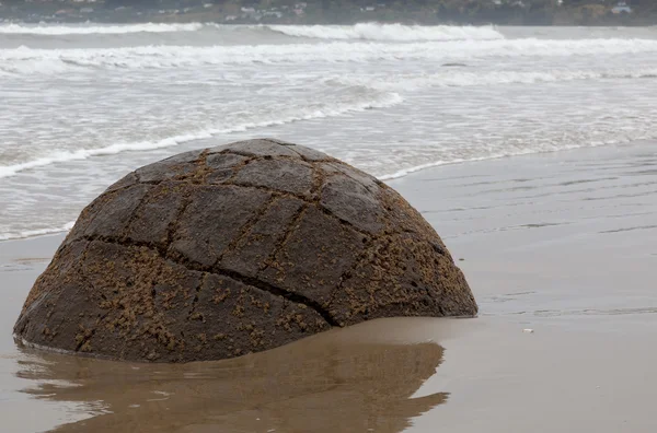 Moeraki boulder — Stock Photo, Image