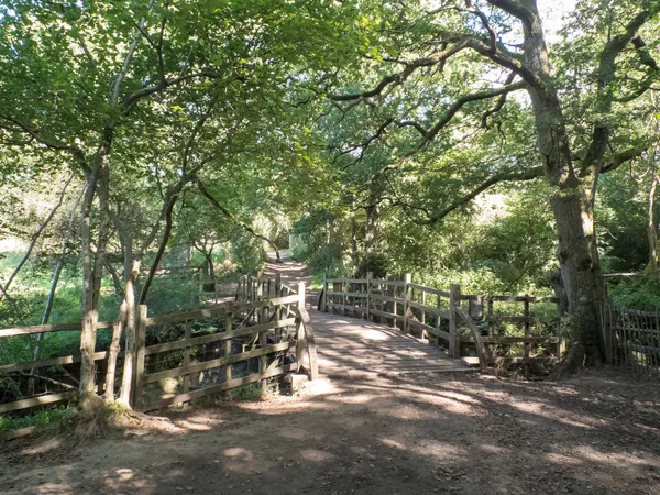 Winnie de Poeh brug in ashdown forest — Stockfoto