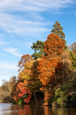 Sheffield park Bahçe Güz
