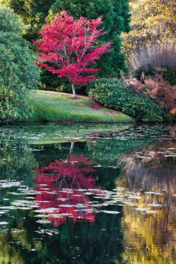 Sheffield park bahçeler