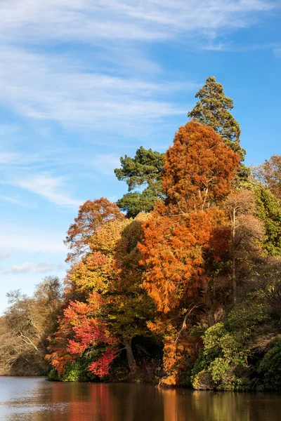 Sheffield Park Garden in autumn — Stock Photo, Image