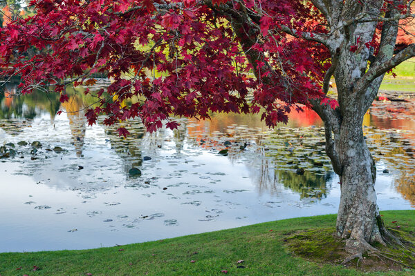 Sheffield Park Gardens