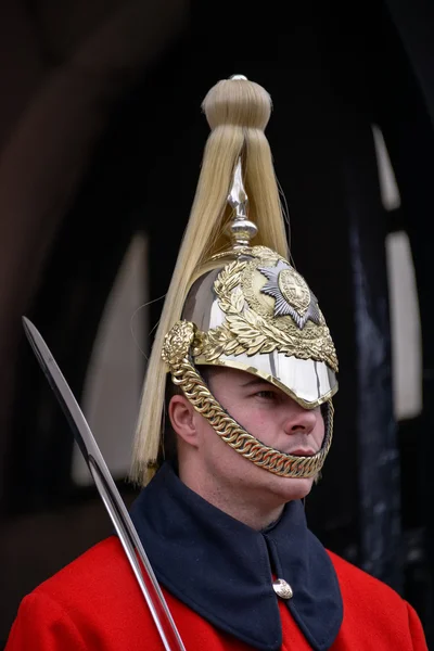 Lifeguard of the Queens Household Cavalry — Stock Photo, Image