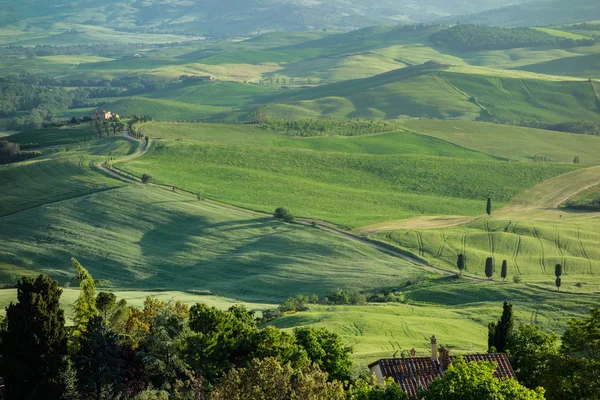 Сільській місцевості Тоскани d'orcia Валь — стокове фото