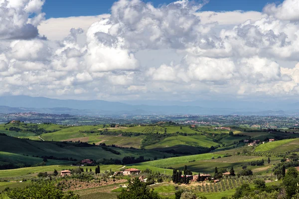 Countryside of Val d'Orcia Tuscany — Stockfoto