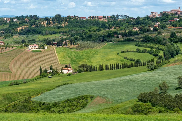 Visa upp till montepulciano Toscana — Stockfoto