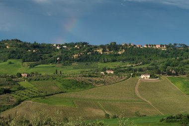 Tuscan kırsal