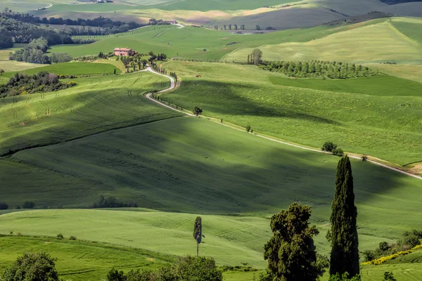 Сільській місцевості Тоскани d'orcia Валь — стокове фото